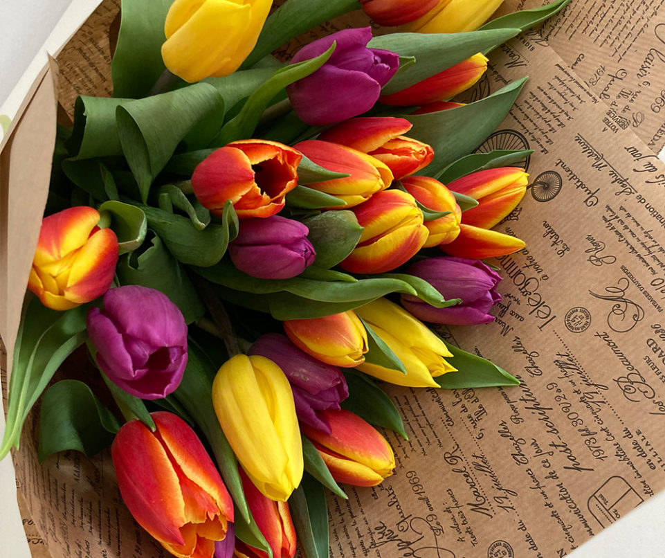 farebné tulipány v kornúte | dovoz kvetín Bratislava
