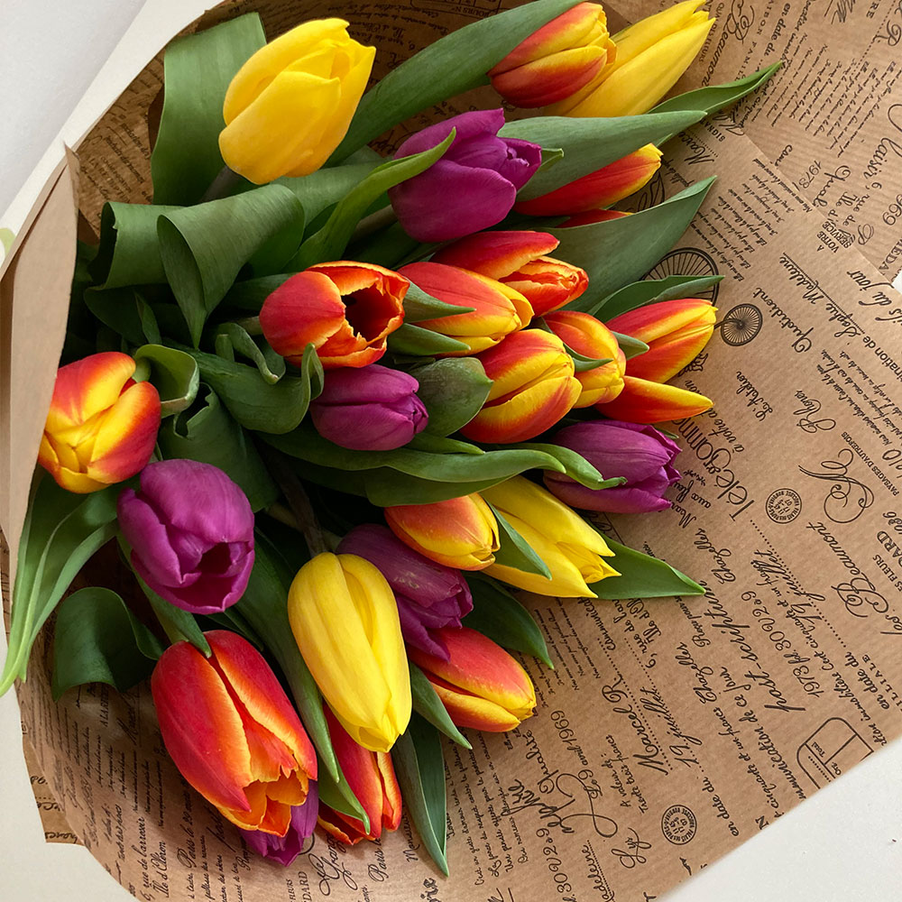 farebné tulipány v kornúte | dovoz kvetín Bratislava