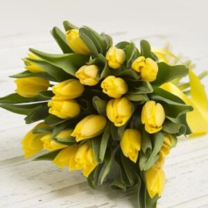 kytica žltých tulipánov. Predaj čerstvých kytíc Bratislava.